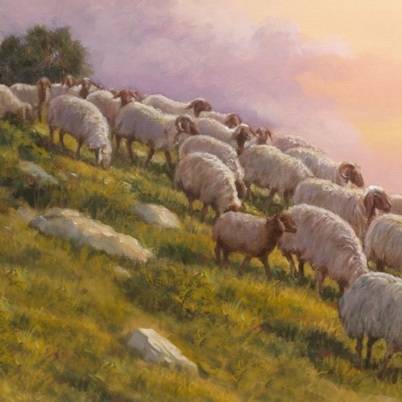 Meet your Posher, Jason - Picture 1 of 1